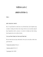 VIÊM GAN C (HEPATITIS C) - Phần 6 doc