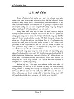 cơ sở lý luận về hoạt động phân phối trong hoạt động kinh doanh của doanh nghiệp