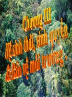 Hệ sinh thái và bảo vệ môi trường pdf