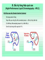 CHUYÊN ĐỀ: SẮC KÝ (CƠ SỞ LÝ THUYẾT VÀ ỨNG DỤNG) part 8 ppsx