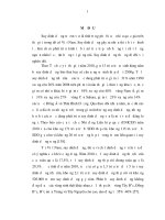 Nghiên cứu công nghệ sản xuất và hiệu quả sản phẩm giàu lyzin và vi chất dinh dưỡng đến tình trạng dinh dưỡng và bệnh tật của trẻ em 6 12 tháng tuổi