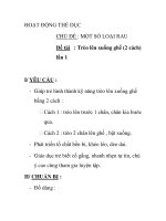 Giáo án mầm non chương trình đổi mới: CHỦ ĐỀ : MỘT SỐ LOẠI RAU Đề tài : Trèo lên xuống ghế (2 cách) lần 1 pptx