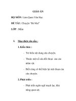 Giáo án mầm non chương trình đổi mới: ĐỀ TÀI : Chuyện “Bé Mai” LỚP : Mầm pot