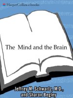 The mind and the brain   jeffrey m  schwartz