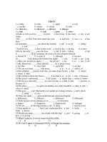 ĐỀ THI CHỨNG CHỈ C - TEST 4 pptx