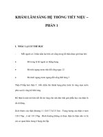 KHÁM LÂM SÀNG HỆ THỐNG TIẾT NIỆU – PHẦN 1 docx