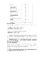 VI SINH VẬT NHIỄM TẠP TRONG LƯƠNG THỰC - THỰC PHẨM Phần 8 pot