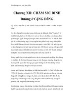 Dinh dưỡng và an toàn thực phẩm - Chương XII: CHǍM SóC DINH Dưỡng ở CộNG ĐồNG docx