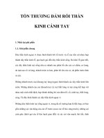 TỔN THƯƠNG ĐÁM RỐI THẦN KINH CÁNH TAY potx