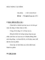 Giáo án mầm non chương trình đổi mới: CÁC LOẠI RAU pps