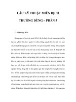 CÁC KỸ THUẬT MIỄN DỊCH THƯỜNG DÙNG – PHẦN 5 pptx