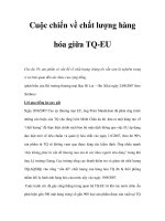 Cuộc chiến về chất lượng hàng hóa giữa TQ-EU pdf