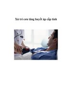 Xử trí cơn tăng huyết áp cấp tính pot