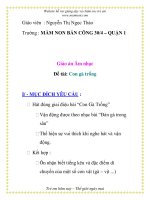 Giáo án mầm non chương trình đổi mới: Con gà trống pps