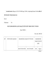 MẪU BÁO CÁO DOANH SỐ MUA, BÁN NGOẠI TỆ VỚI TỔ CHỨC TRONG THÁNG pot