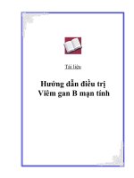 Hướng dẫn điều trị Viêm gan B mạn tính ppsx