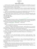 GIÁO TRÌNH BÁNH TRUYỀN THỐNG VIỆT NAM - CHƯƠNG II NGUYÊN LIỆU pps