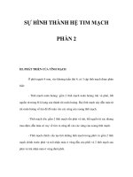 SỰ HÌNH THÀNH HỆ TIM MẠCH PHẦN 2 doc