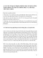 Mỗi liên hệ giữa ứng dụng công nghệ thông tin và sự phát triển ý nghĩa - Phần 4 ppt