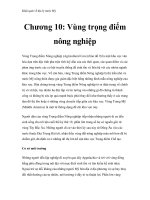 Khái quát về địa lý nước Mỹ - Chương 10: Vùng trọng điểm nông nghiệp pps