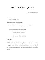 ĐIỀU TRỊ VIÊM TỤY CẤP pdf