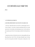 CƠ CHẾ RỐI LOẠN NHỊP TIM - Phần 1 doc