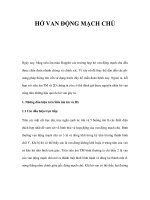 HỞ VAN ĐỘNG MẠCH CHỦNG pptx