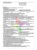 ĐỀ THI THỬ MÔN TOÁN - ĐỀ 6 pot