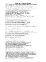 RELATIVE CLAUSES-REVIEW ppt