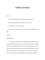 VIÊM GAN MẠN ppt