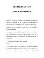 PHÙ PHỔI CẤP TÍNH (Acute pulmonary edema) pot