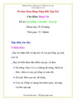 Giáo án mầm non chương trình đổi mới: Gà trống – Gà mái – Con vịt pdf