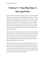 Khái quát về địa lý nước Mỹ - Chương 11: Vùng đồng bằng và thảo nguyên lớn pdf