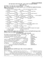 ĐỀ CHỌN HỌC SINH GIỎI TỈNH - LỚP 12 THPT NĂM HỌC 2010-2011 Môn: Tiếng Anh potx