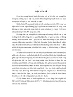 Nghiên cứu hiệu quả điều trị của phác đồ MP và MPT ở bệnh nhân ĐUTX tại khoa huyết học   truyền máu bệnh viện bạch mai