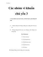 Vi sinh vật - Các nhóm vi khuẩn chủ yếu 3 docx
