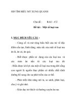 Giáo án mầm non chương trình đổi mới: Chủ đề : RAU - CỦ - Đề tài : Một số loại rau docx