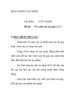 Giáo án mầm non chương trình đổi mới: CÂY XANH pot