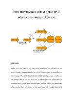 ĐIỀU TRỊ VIÊM GAN SIÊU VI B MẠN TÍNH HÔM NAY VÀ TRONG TƯƠNG LAI pdf