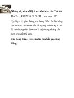 Những cây cầu nối lịch sử và hiện tại của Thủ đô pdf