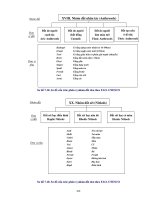 Giáo trinh xây dựng và phân loại bản đồ đất part 10 pps