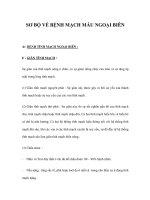 SƠ BỘ VỀ BỆNH MẠCH MÁU NGOẠI BIÊN ppt