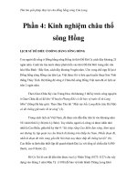 Thử tìm giải pháp thủy lợi cho đồng bằng sông Cửu Long - Phần 4: Kinh nghiệm châu thổ sông Hồng pptx