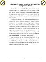 Luận văn tốt nghiệp: Giải pháp nâng cao chất lượng chi trả BHXH phần 1 ppsx