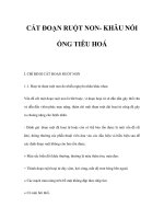 CẮT ĐOẠN RUỘT NON- KHÂU NỐI ỐNG TIÊU HOÁ pot