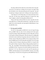 Luận văn tốt nghiệp đề tài 