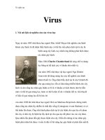 Vi sinh vật - Virus 1 pot