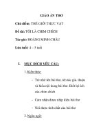 Giáo án mầm non chương trình đổi mới: Chủ điểm: THẾ GIỚI THỰC VẬT Đề tài: TÔI LÀ CHIM CHÍCH pptx