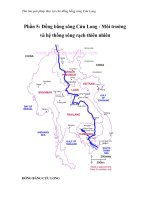 Thử tìm giải pháp thủy lợi cho đồng bằng sông Cửu Long - Phần 5: Đồng bằng sông Cửu Long - Môi trường và hệ thống sông rạch thiên nhiên docx