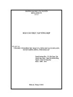 Tìm hiểu tình hình thu nhập của nông hộ tại xã hòa sơn, huyện krông bông, tỉnh đaklak